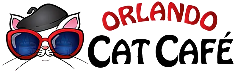 Orlando Cat Café