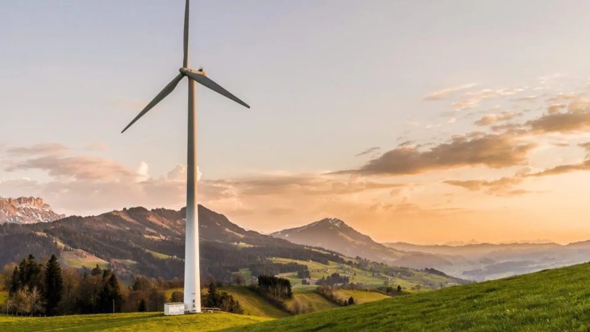 Encouraging Environmental Sustainability in the New Normal
