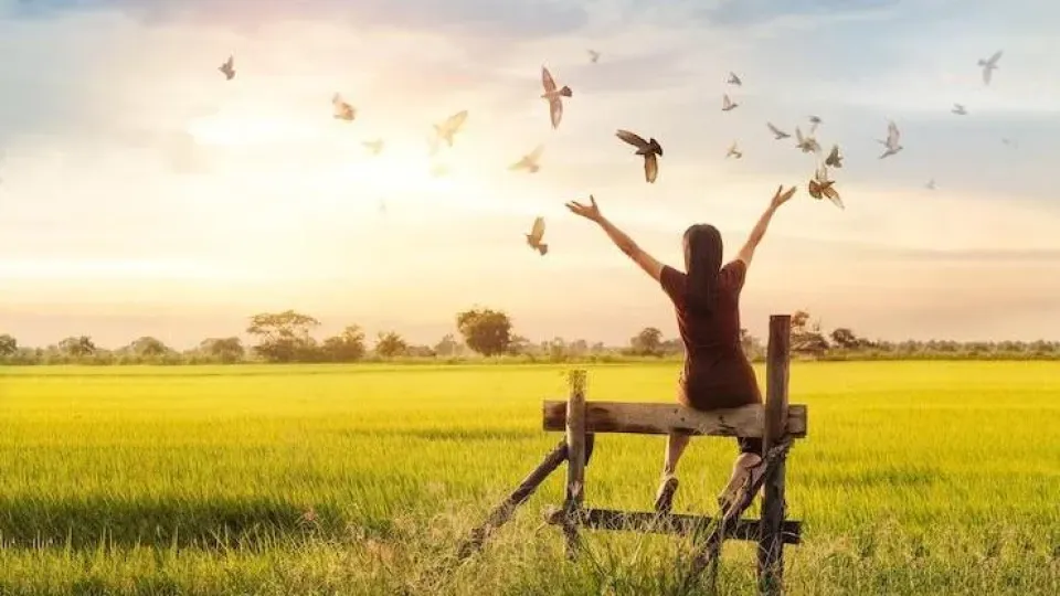 The Role of Psychological Well Being