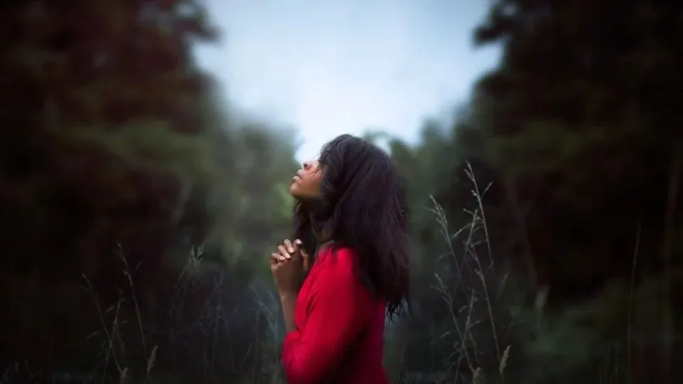 Manifest Your Dreams: Does It Really Work?