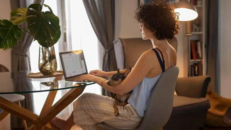 The 60-Second Reset for Instant Calm and Clarity
